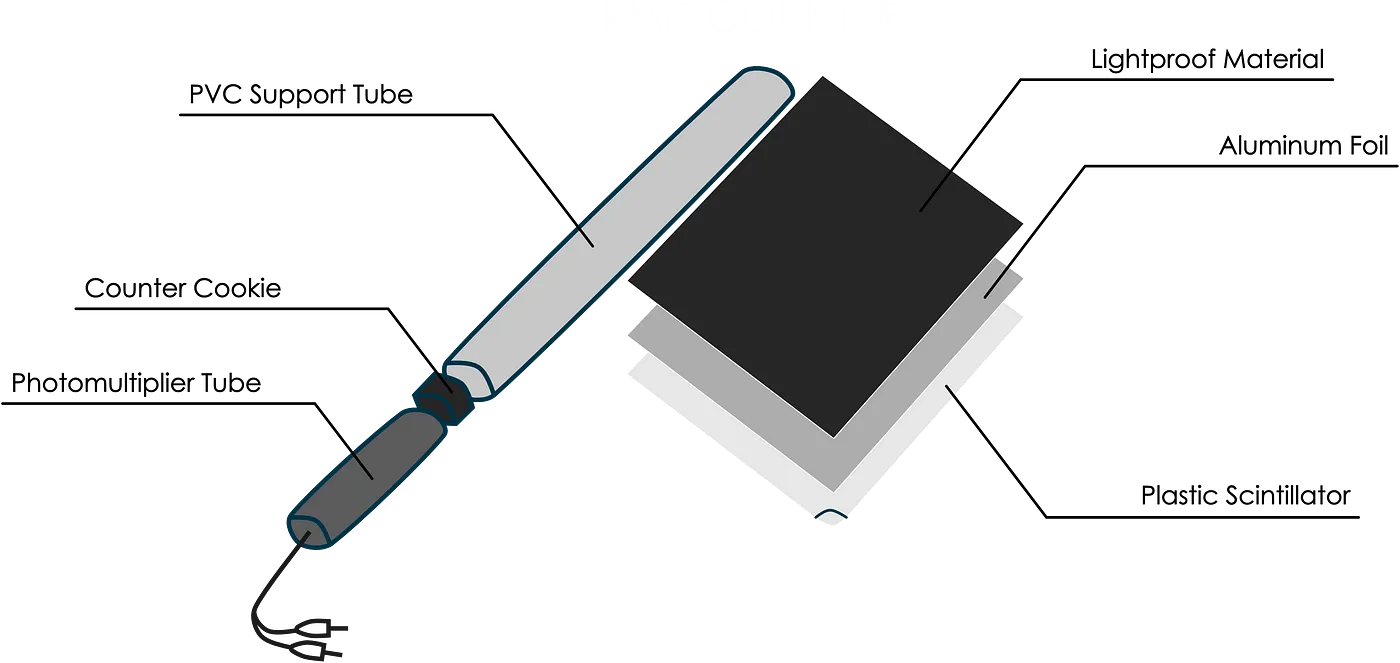 scintellation paddle