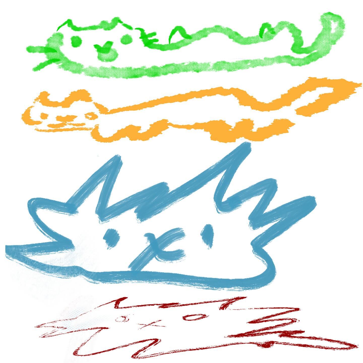 cat procreate
