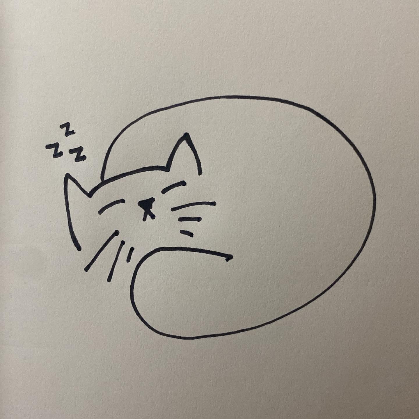 cat1