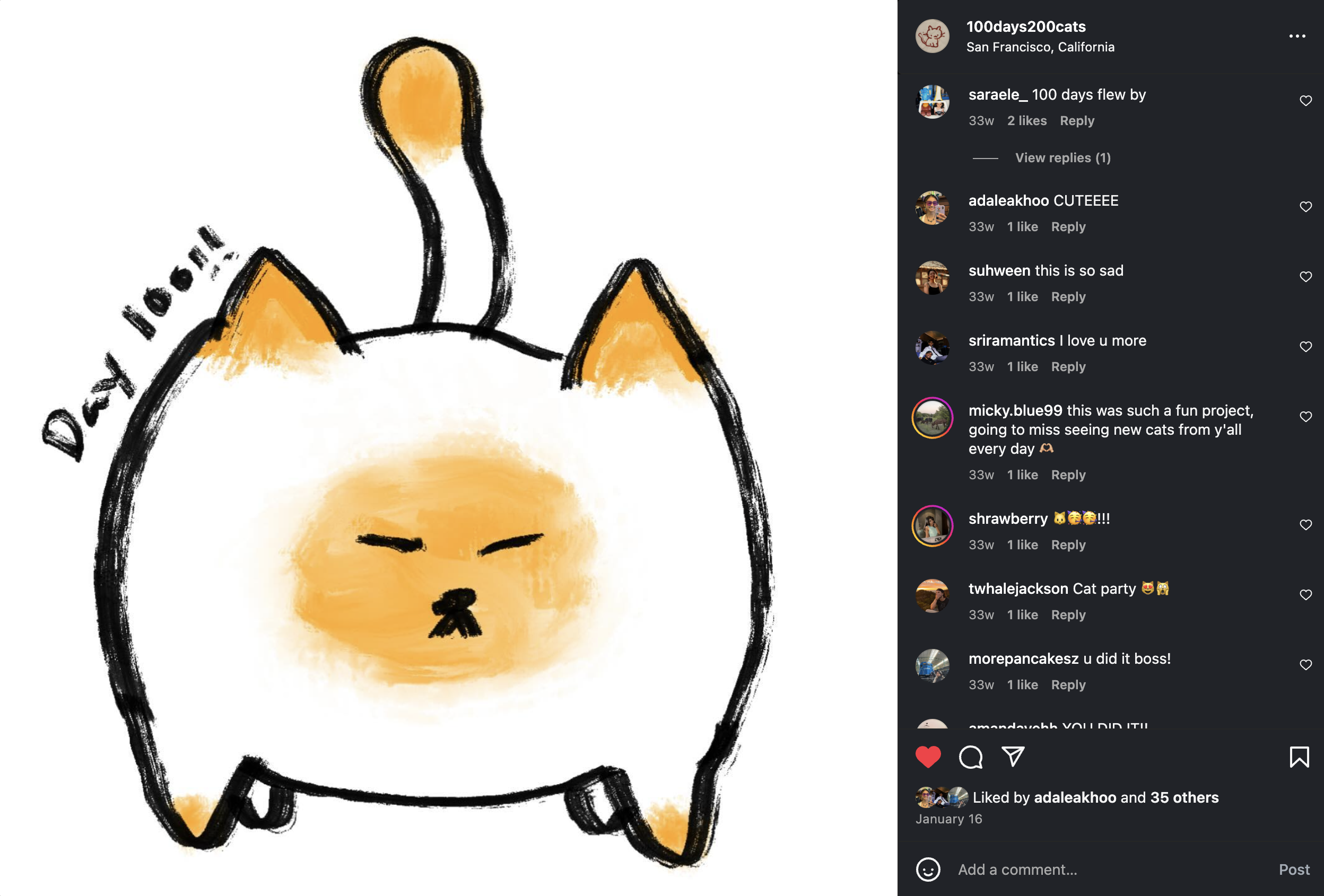 100 Days, 200 Cats feature image