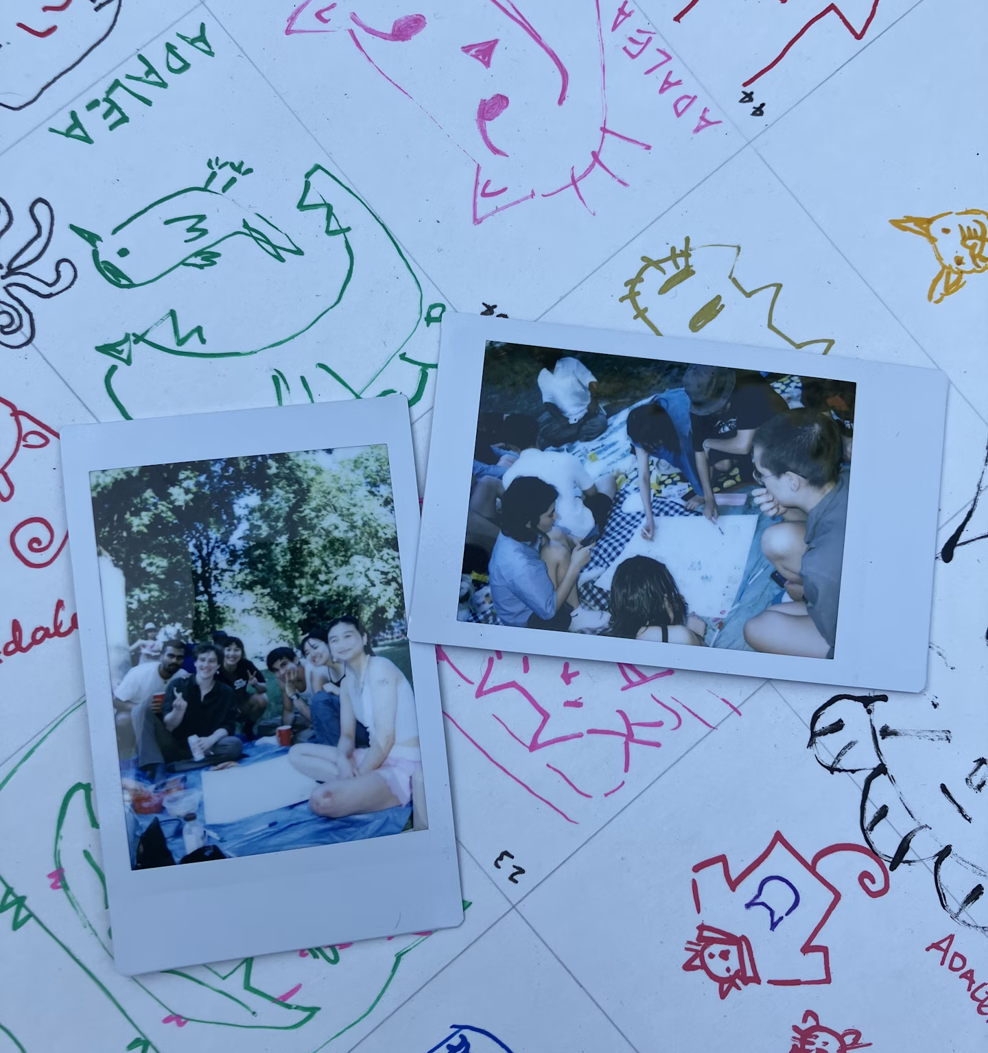 polaroid