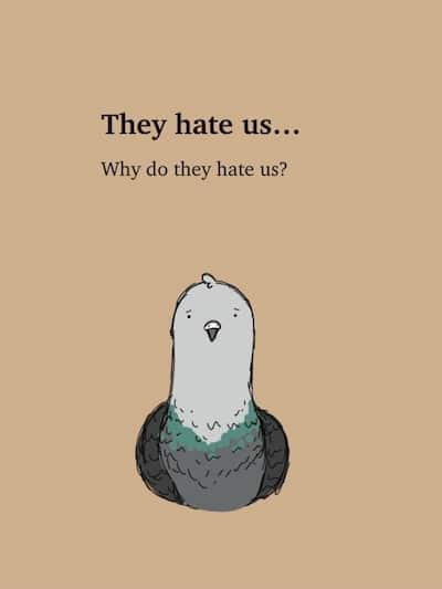 A pigeon. They hate us... Why do they hate us?