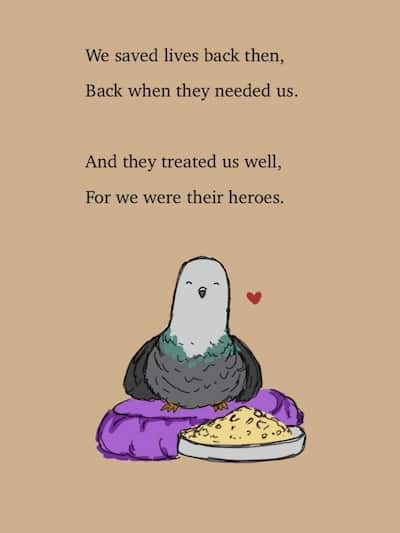 A cozy pigeon. We saved lives back then, Back when they needed us. And they treated us well, For we were their heroes.