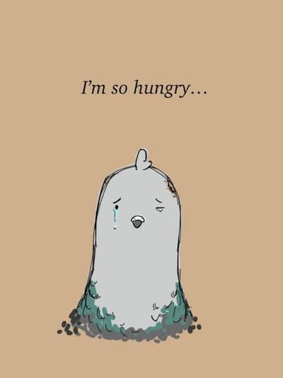 A crying pigeon. I'm so hungry...