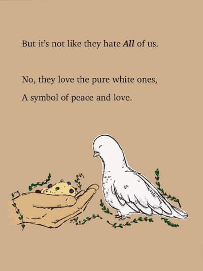 A dove being fed. But it's not like they hate All of us. No, they love the pure white ones, A symbol of peace and love.